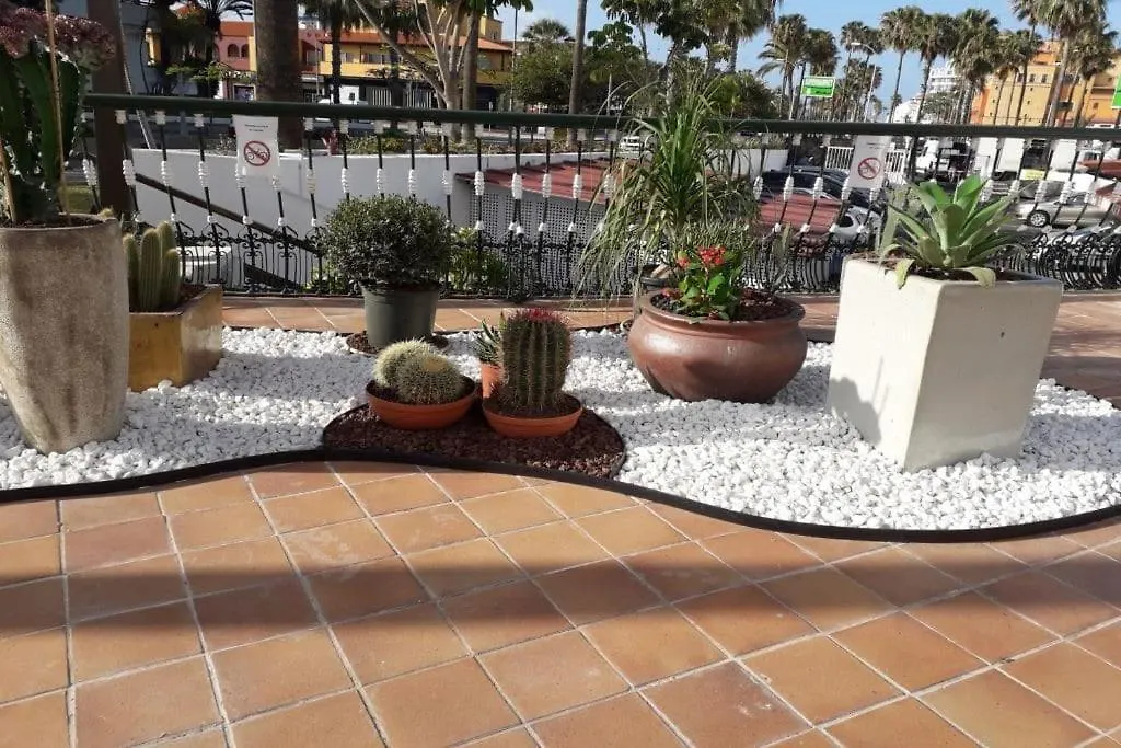 Duplex Parque Santiago 1 - 385 Apartment Playa de las Americas   Playa de las Americas (Tenerife)