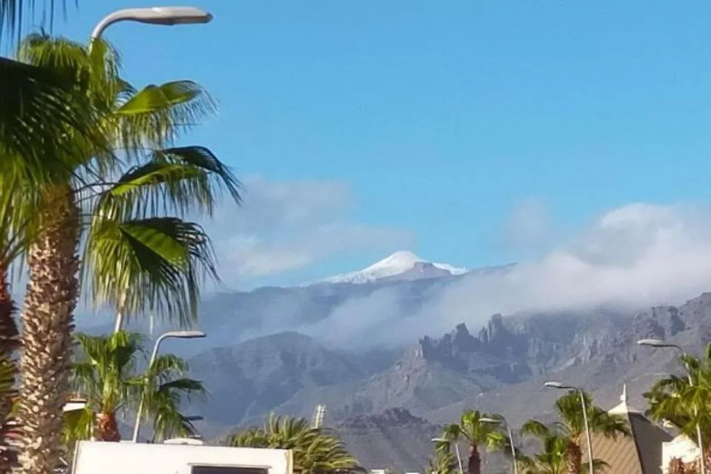 Duplex Parque Santiago 1 - 385 Apartment Playa de las Americas  Playa de las Americas (Tenerife)